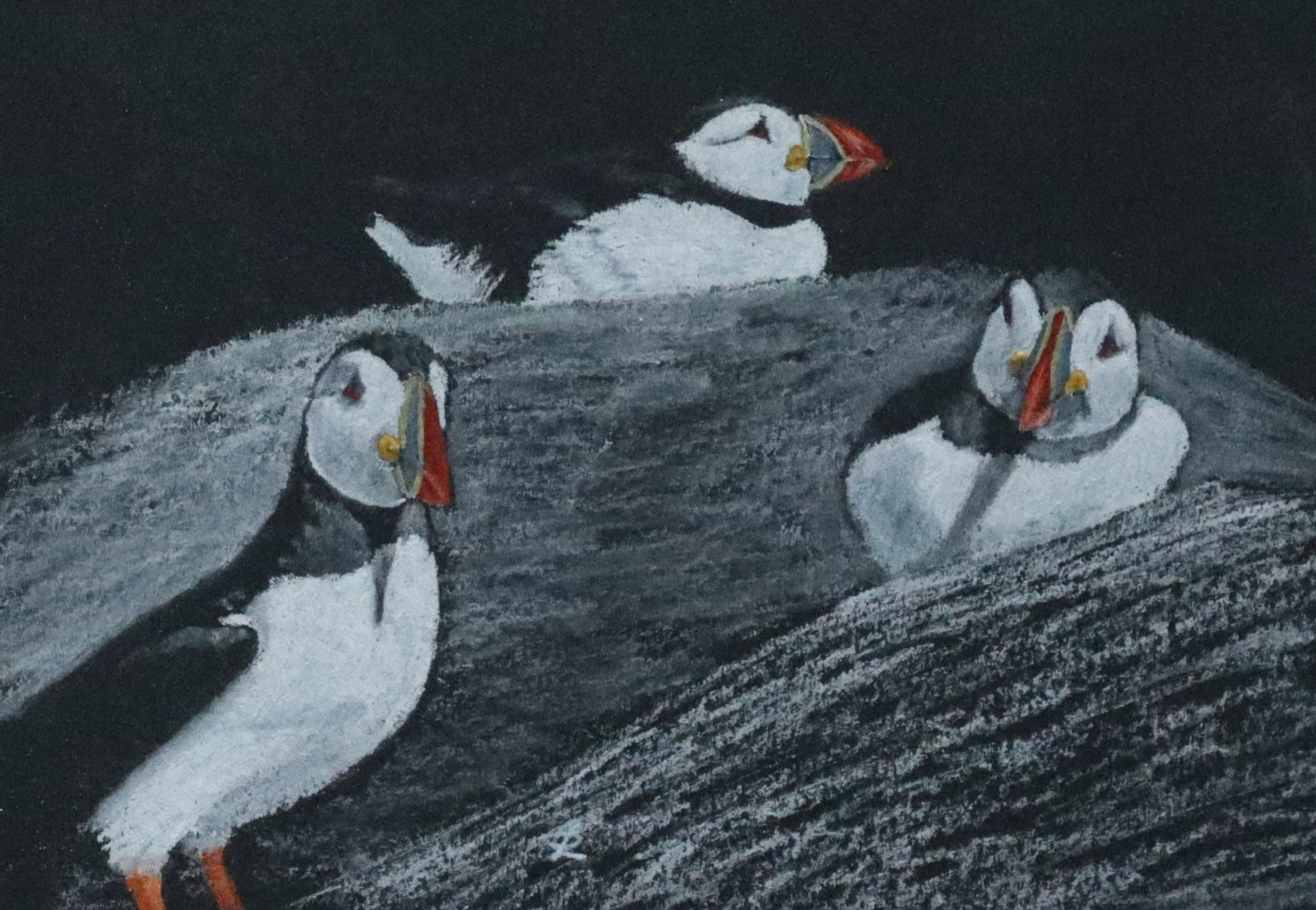 Puffins