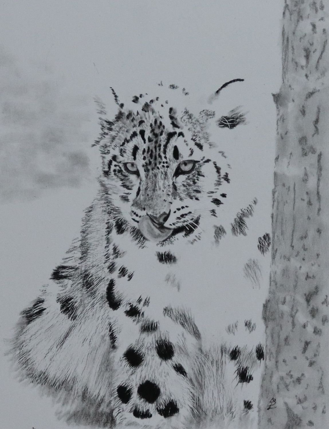 Snow Leopard Cub 3